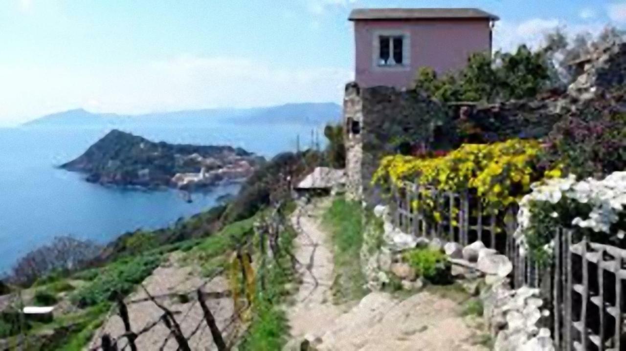 The Sea From The Hills Διαμέρισμα Casarza Ligure Εξωτερικό φωτογραφία